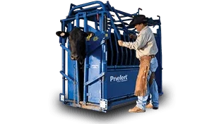 Cattle Equipment